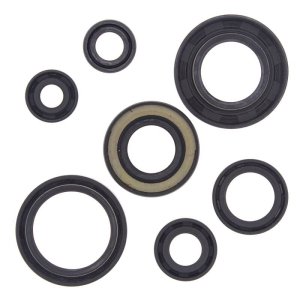 Yamaha YFS200 Blaster Engine Oil Seal Kit - Vertex Pistons - `88-`06